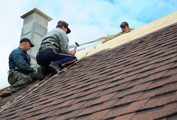 Best Storm Damage Roof Repair  in Chicago Ridge, IL