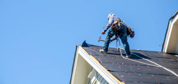 Best Local Roofing Companies  in Chicago Ridge, IL